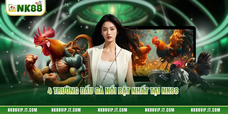 4 trường đấu gà nổi bật nhất tại NK88 