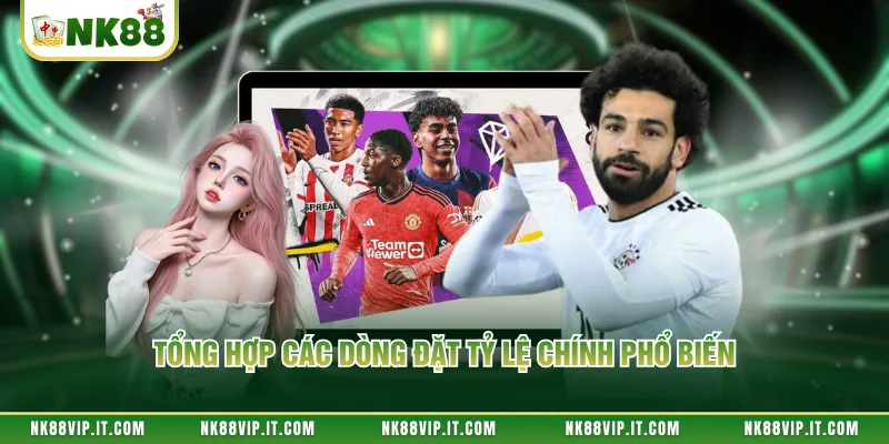 Tổng hợp các dòng đặt tỷ lệ chính phổ biến